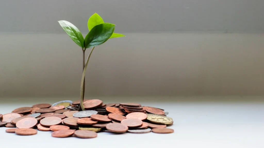 Why Is Finance Management Essential for Your Future?