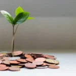 Why Is Finance Management Essential for Your Future?